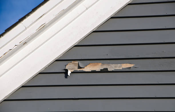 Best Residential Vinyl Siding Installation  in , NC